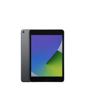 iPad mini 5 (2019)